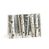 Winter Aspen Trunks - Fine Art Greeting Cards